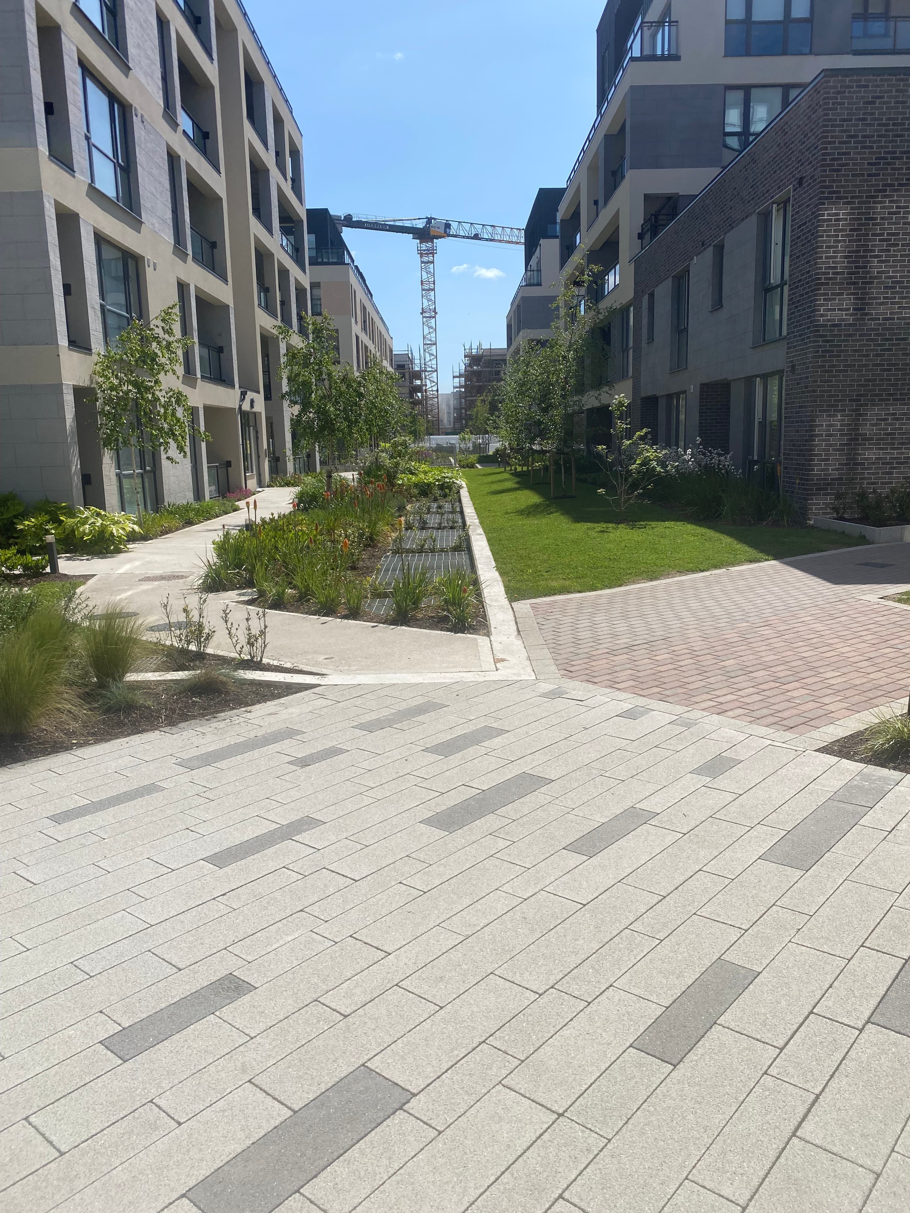 Paved garden path at commercial landscaping project in Clonsilla, Dublin