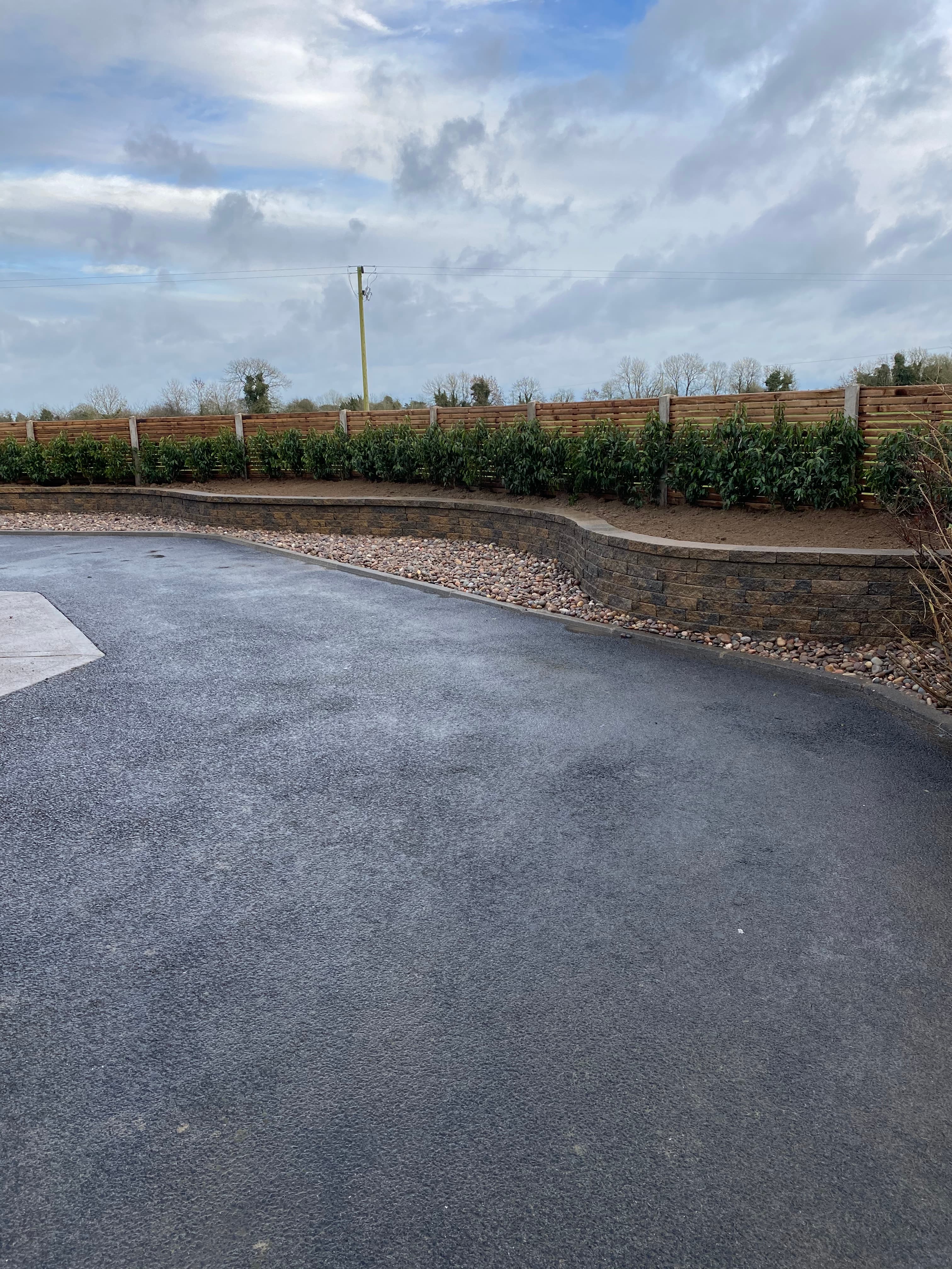 Walling and hedging detail in Cortown, Meath